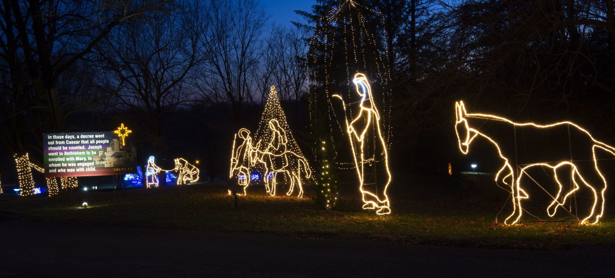 Way of Lights holiday light display at the National Shrine of Our Lady of the Snows